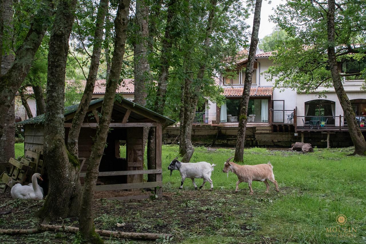 Moulin Du Val De Seugne Hotel Mosnac  Bagian luar foto